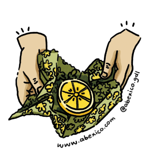 Ilustracion de manos tomando una tela encerada con un limón dentro